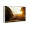 Stupell Industries Golden Morning Between Trees Framed Giclee, design by Gail Peck